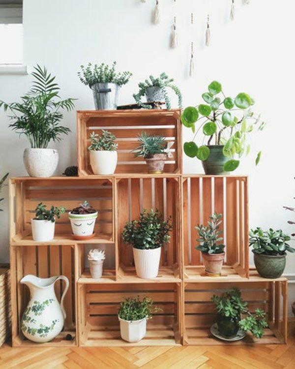 balkon dekorasyonu için çiçekler ve saksılar